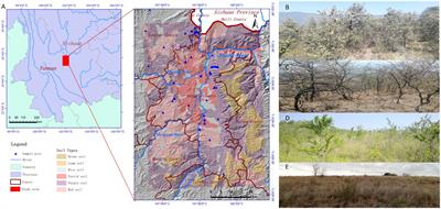 Climate and soil stressed elevation patterns of plant species to determine the aboveground biomass distributions in a valley-type Savanna